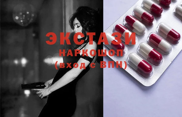 spice Инта