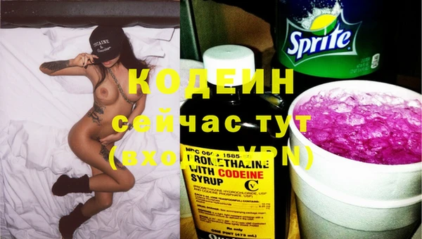 spice Инта