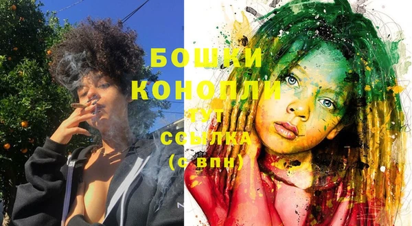 spice Инта