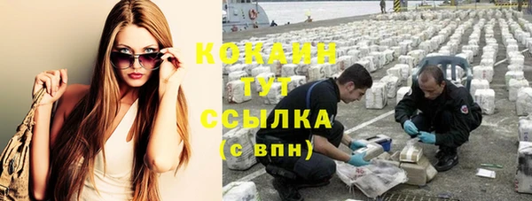 spice Инта