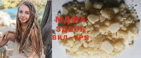 spice Инта